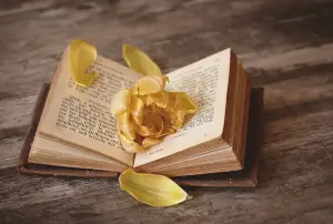 How To Print Your Own Book
